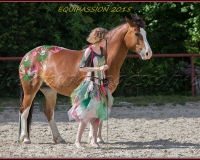1-13JUIN 0893